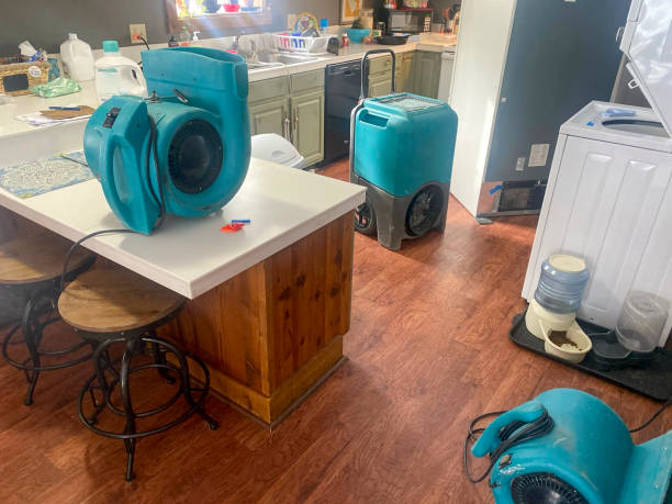 Best Local water damage restoration  in Solvay, NY