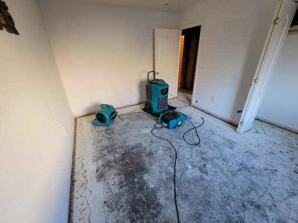 Best Professional water damage repair  in Solvay, NY