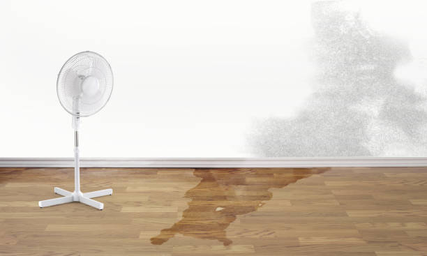 Best Fire Damage Restoration  in Solvay, NY