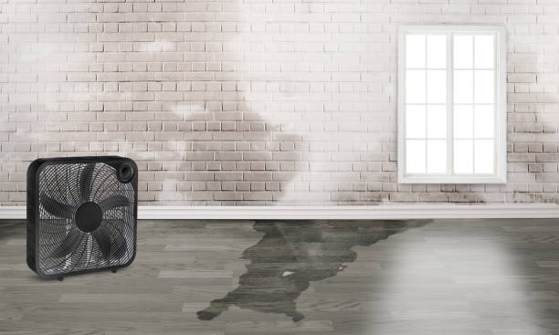 Best Basement water damage restoration  in Solvay, NY