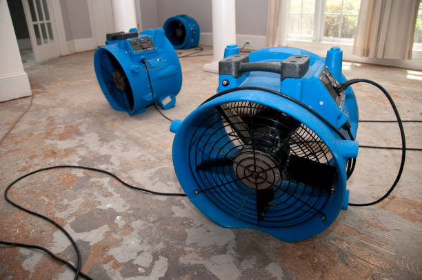 Best Flood restoration services  in Solvay, NY