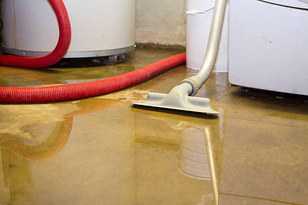 Best Water damage restoration near me  in Solvay, NY