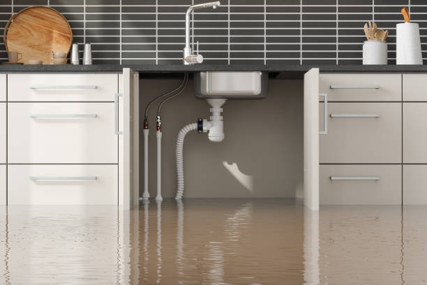 Best Mold removal after water damage  in Solvay, NY