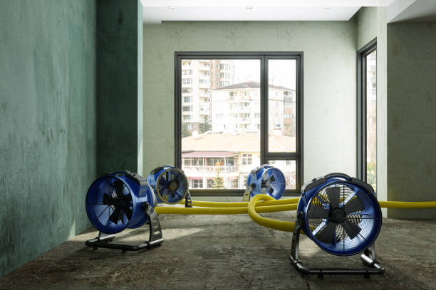 Best Fire Damage Restoration  in Solvay, NY